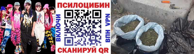 Псилоцибиновые грибы Psilocybe Нижняя Салда