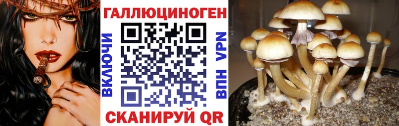 Галлюциногенные грибы Cubensis  Нижняя Салда 